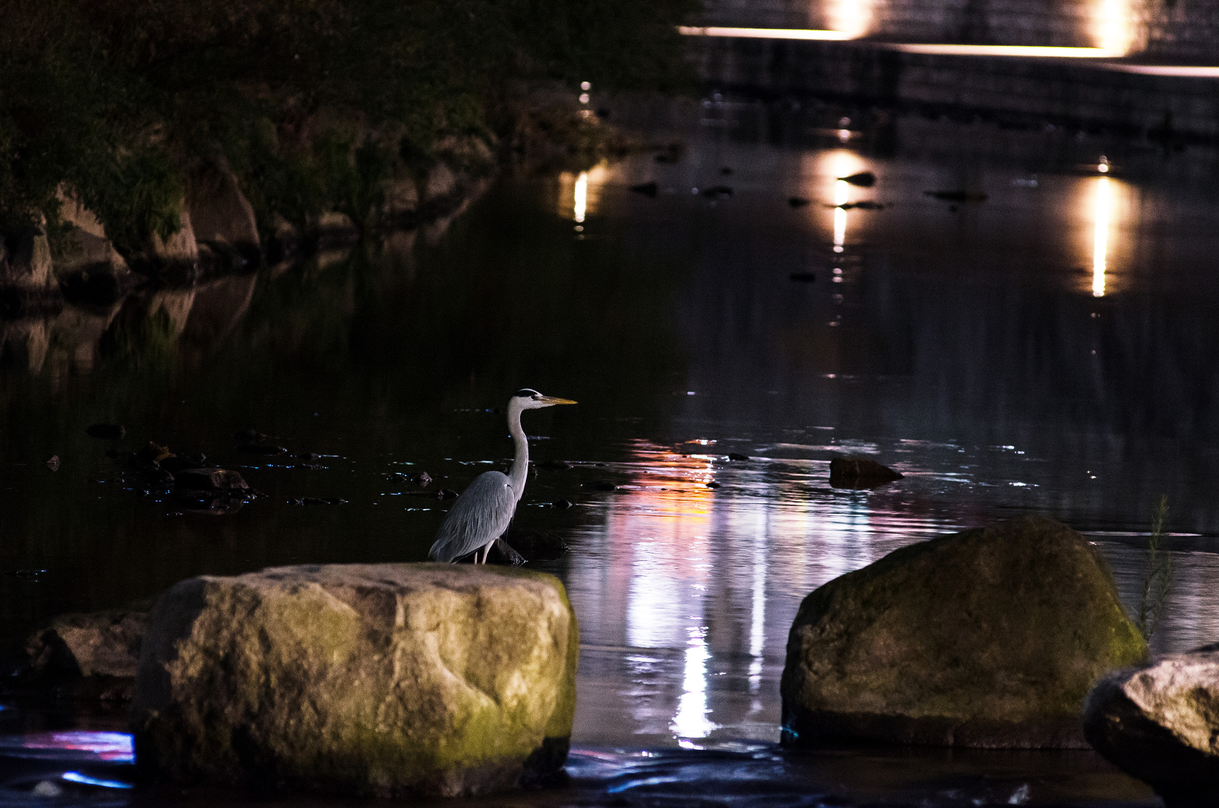 CHEONGGYECHEON INSOMNIA